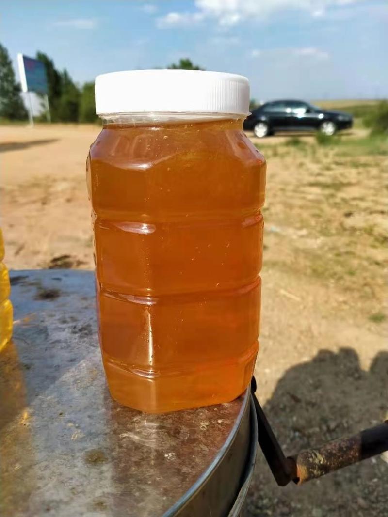 黑枸杞蜜，宁夏青海柴达木盆地枸杞蜂蜜蜂场一手货源品质保证