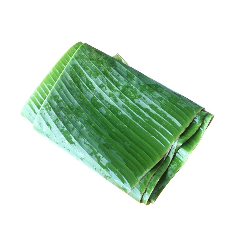 芭蕉叶质量保证常年有货当天砍当天发货
