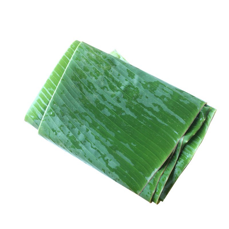 芭蕉叶质量保证常年有货当天砍当天发货