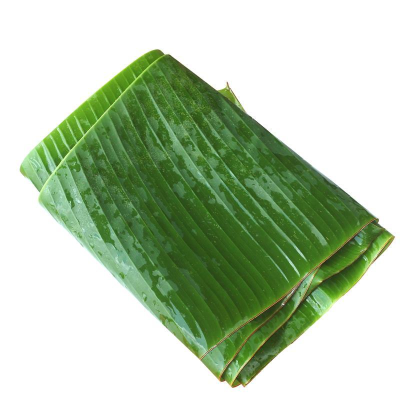 芭蕉叶质量保证常年有货当天砍当天发货