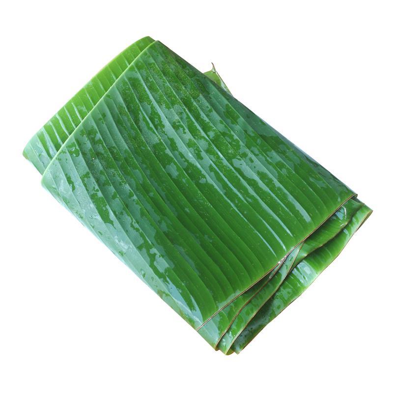 芭蕉叶质量保证常年有货当天砍当天发货