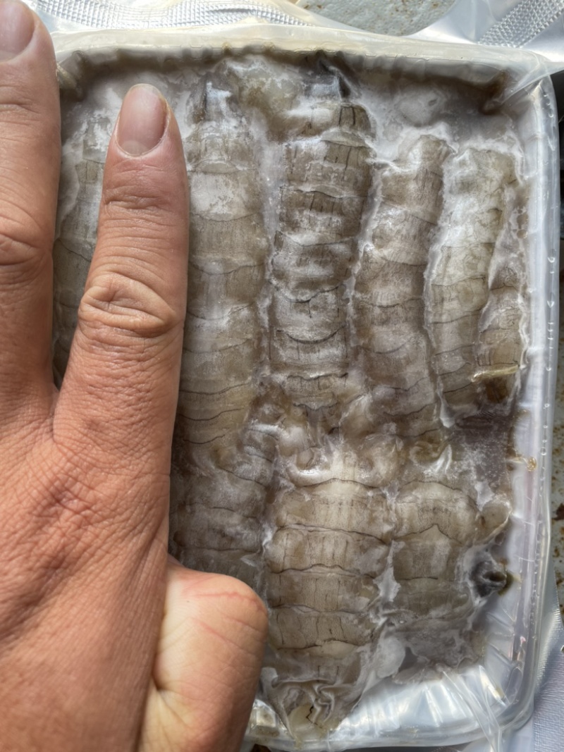 皮皮虾肉虾姑肉爬虾肉虾婆肉琵琶虾肉包装