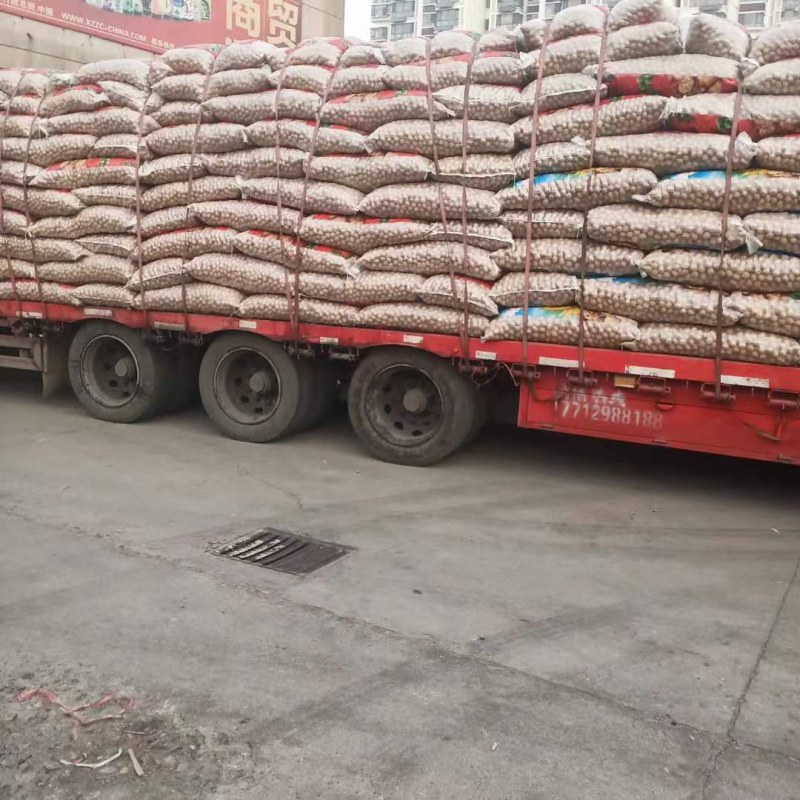 优质花生米榨油米商品米，产地直销，大量供应规格品种齐全