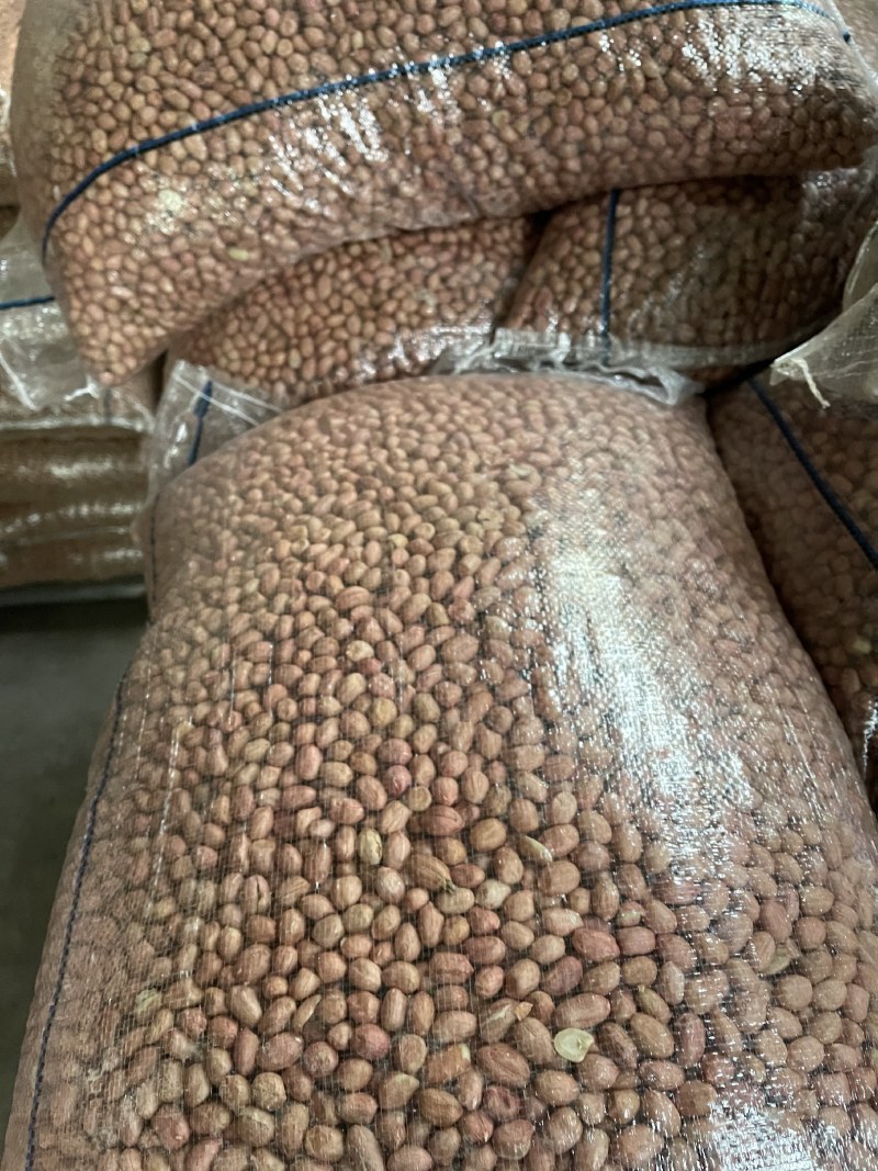 优质花生米榨油米商品米，产地直销，大量供应规格品种齐全