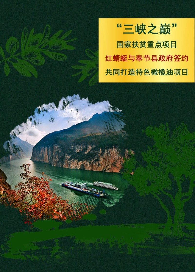 瞿塘甘露特级初榨橄榄油可视频看货产地直供支持线上保障交易