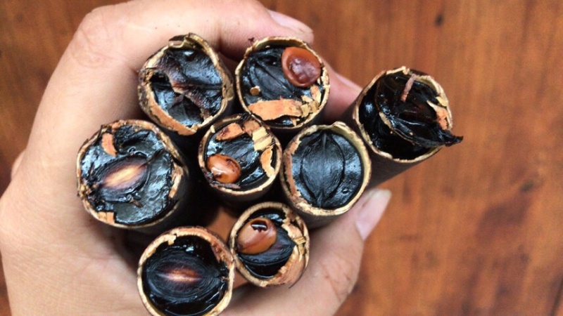 便秘果精选优质无虫腊肠树果多油干货支持一件代发