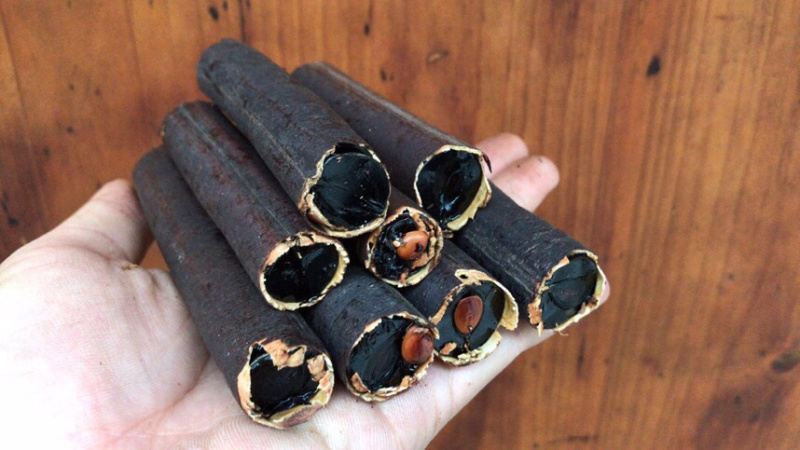 便秘果精选优质无虫腊肠树果多油干货支持一件代发