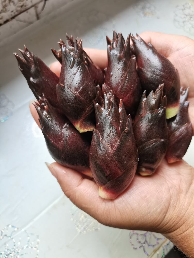 阳荷批发零售