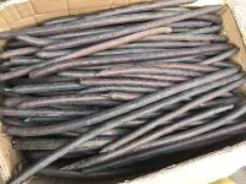 便秘果精选优质无虫腊肠树果多油干货支持一件代发