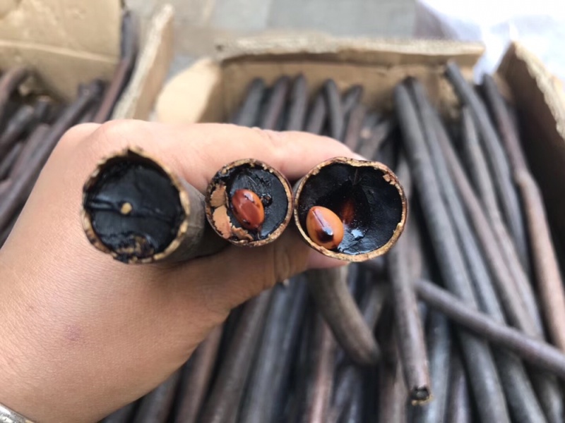 便秘果精选优质无虫腊肠树果多油干货支持一件代发