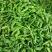 陕西辣椒大量上市，一手货源，品种多多，质量优