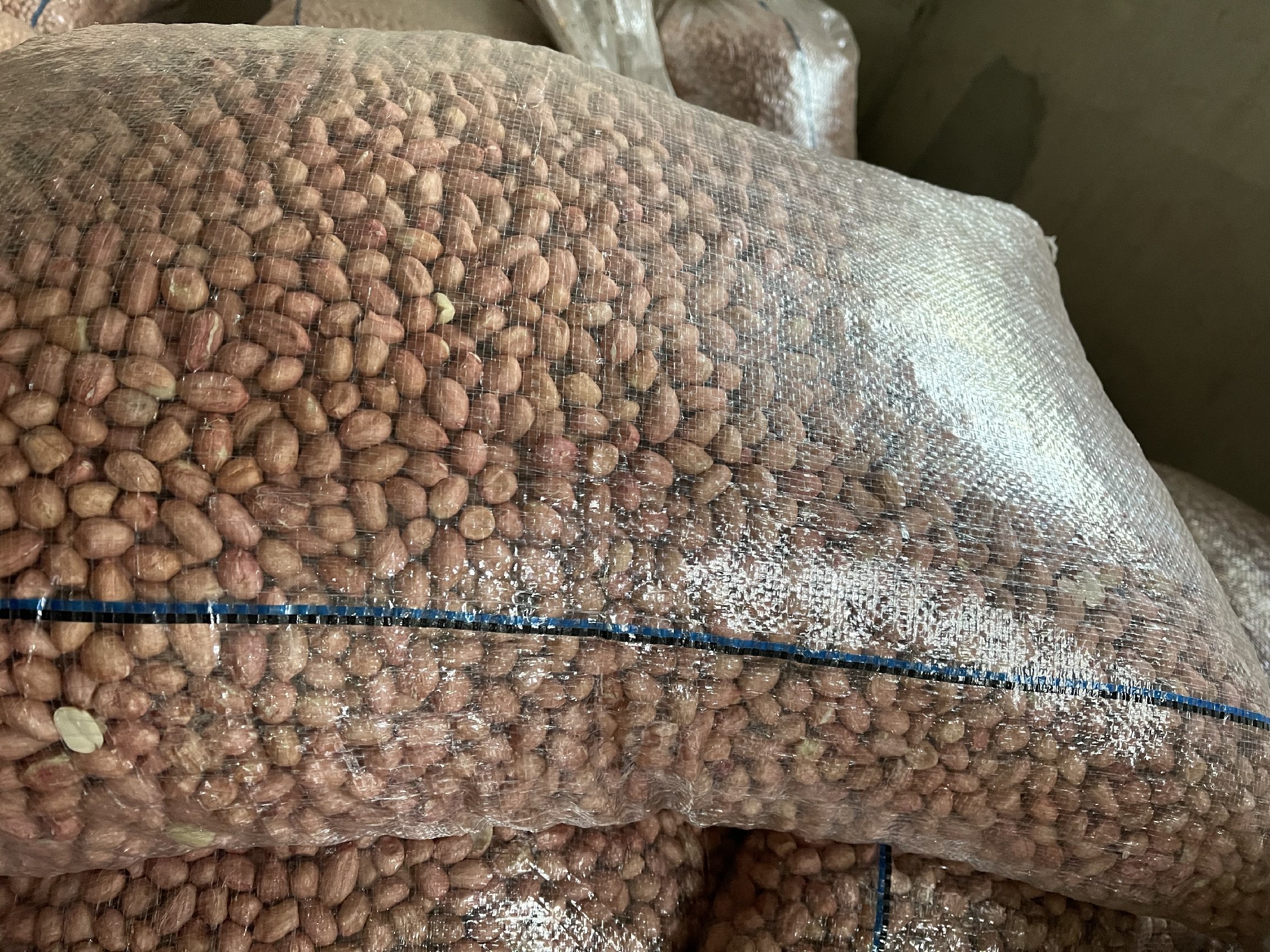 哪里批发花生米