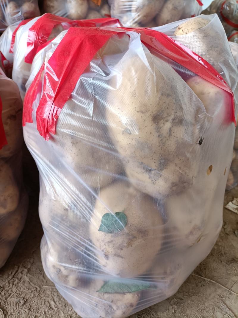 土豆甘肃省临洮县精品土豆，产地直发，质量保证，欢迎您的选