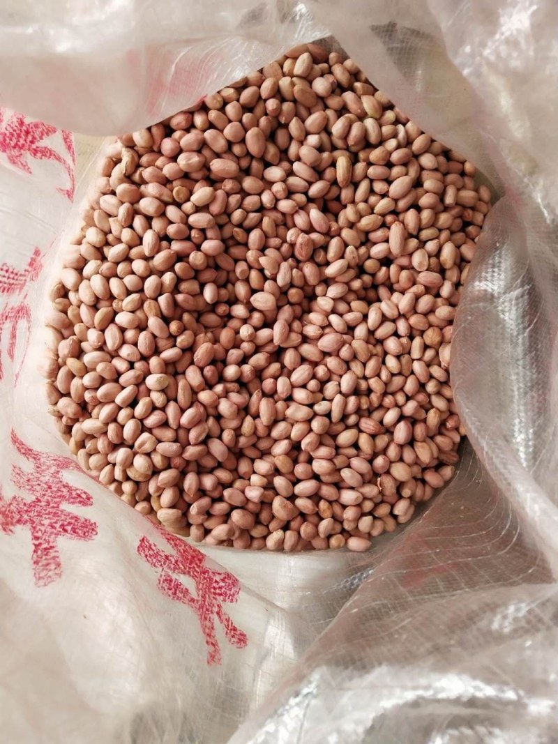 优质花生米榨油米商品米，产地直销大量批发供应规格品种齐全