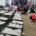 甜瓜甜宝甜瓜小量上市精品甜瓜产地直销保质保量