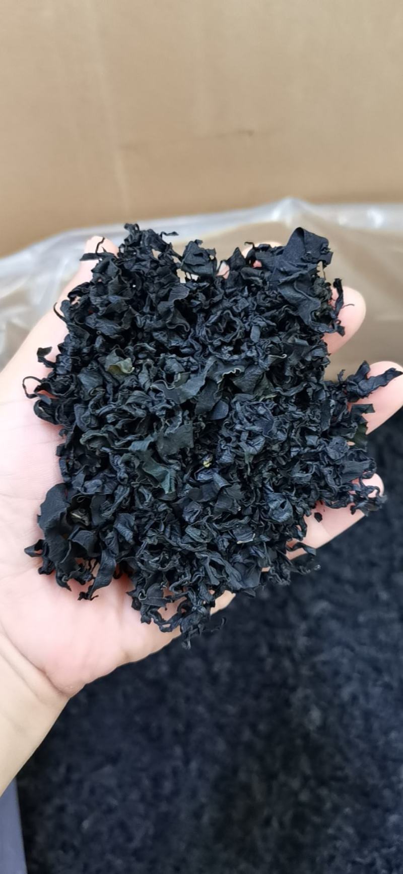 淡干裙带菜又名螺旋藻厂价直销品质好价格优长年供