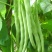 原厂包装四季豆种子高产早熟爬藤上架豆角农家田园春秋种籽