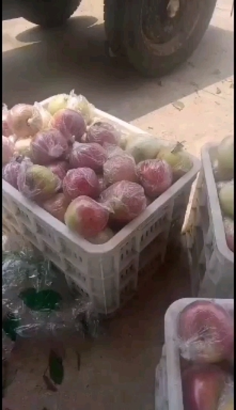 红露苹果产地批发红露苹果大量上市一手货源全国发货