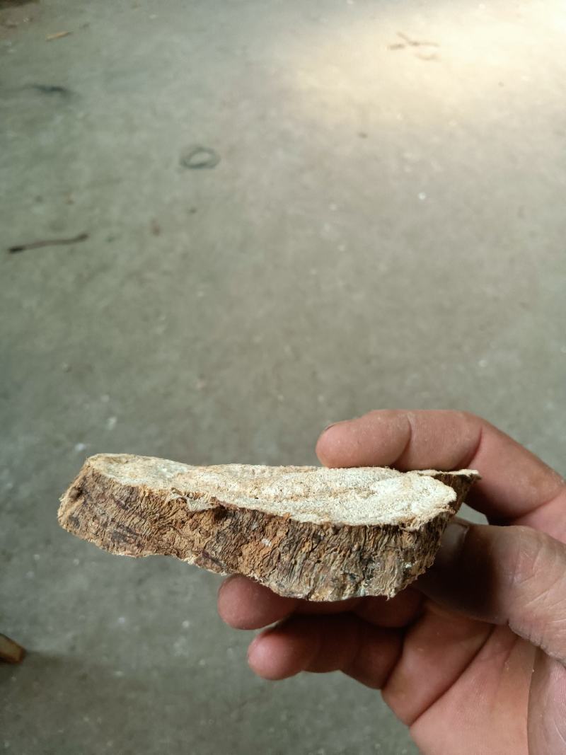 葛根片