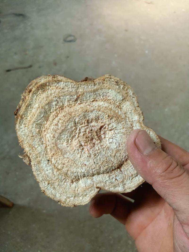 葛根片