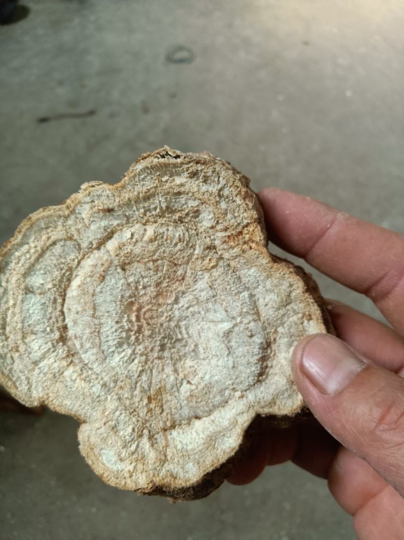 葛根片