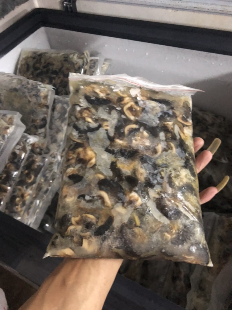 黑蜗牛
