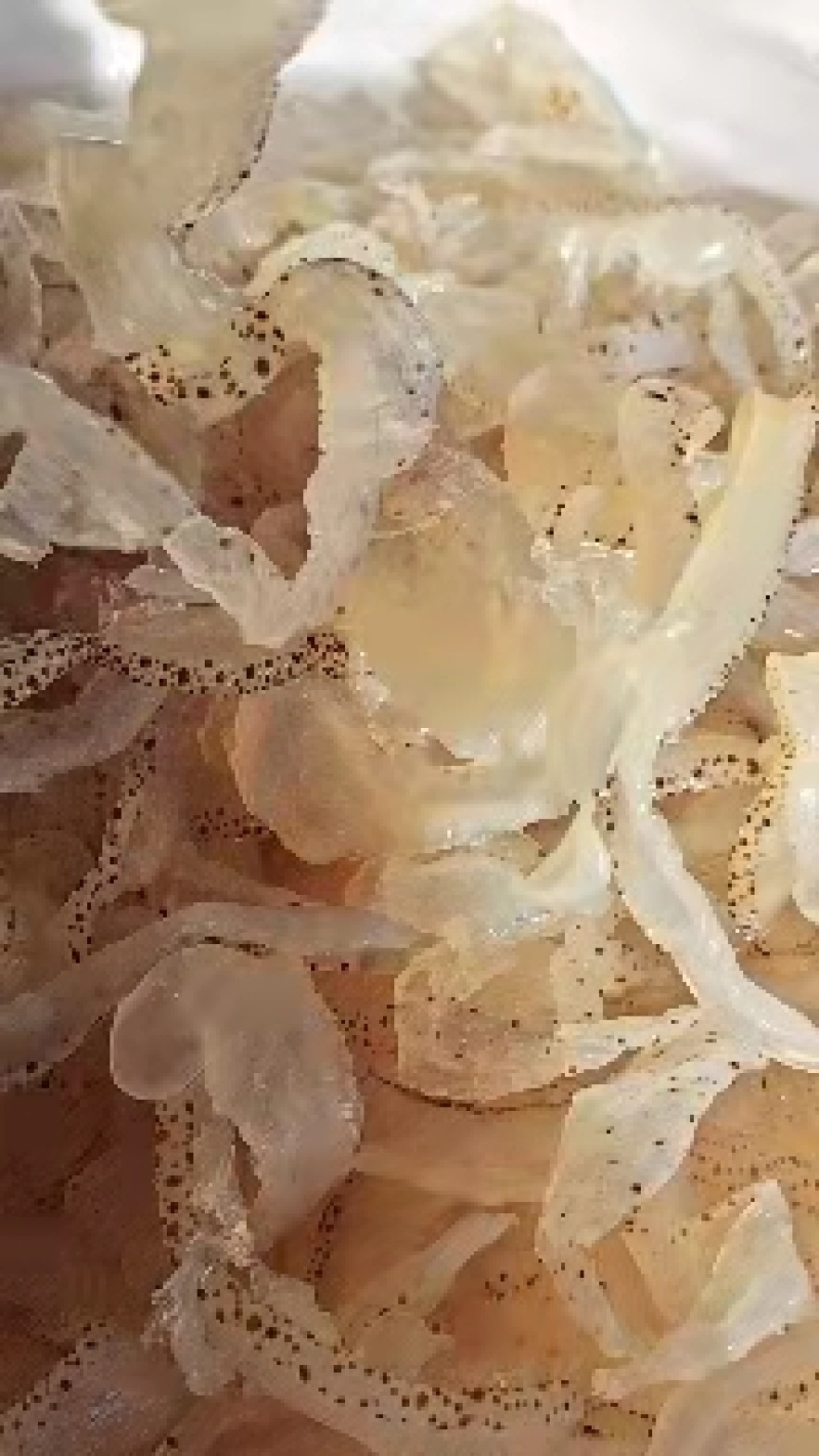海蜇丝虎斑蜇丝爽脆可囗常年批发零售一手货源不包邮