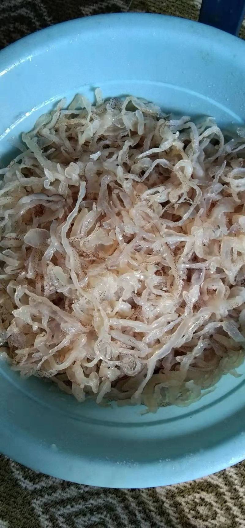 海蜇丝虎斑蜇丝爽脆可囗常年批发零售一手货源不包邮