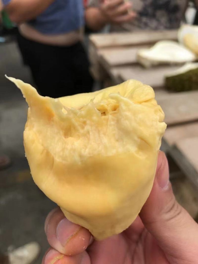 泰国榴莲常年有货，金枕山猫王托曼尼干荛！！