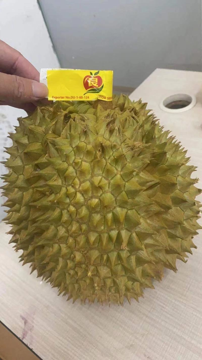 泰国榴莲常年有货，金枕山猫王托曼尼干荛！！