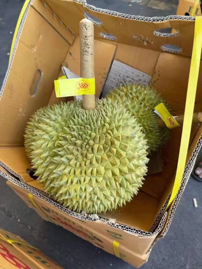 泰国榴莲常年有货，金枕山猫王托曼尼干荛！！