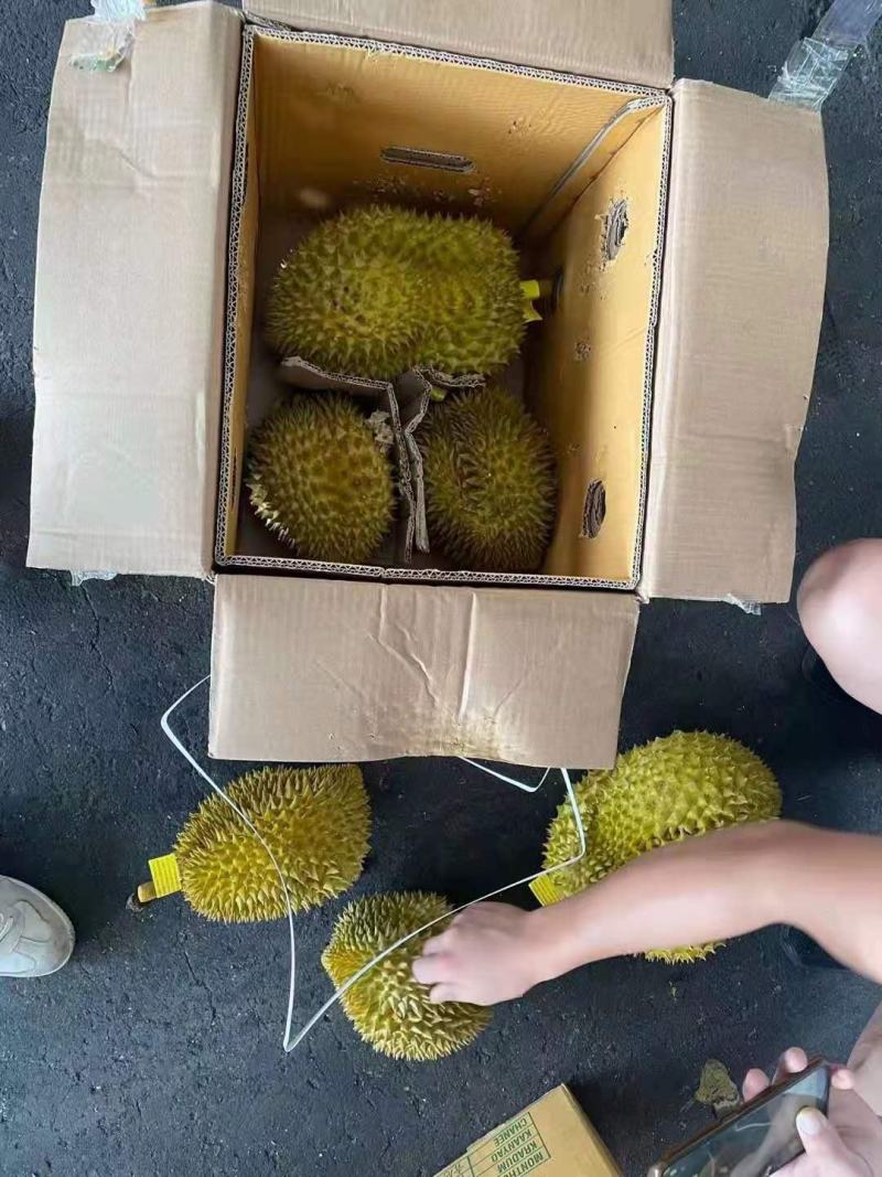 泰国榴莲常年有货，金枕山猫王托曼尼干荛！！