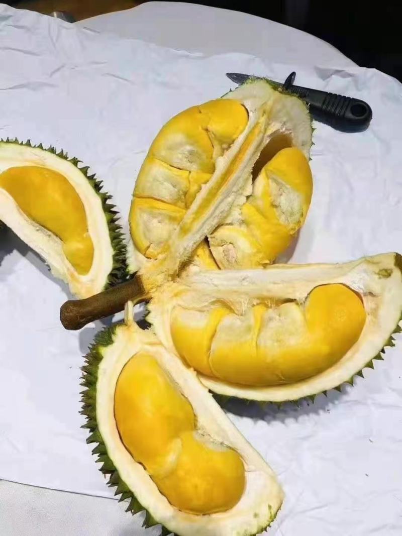 泰国榴莲常年有货，金枕山猫王托曼尼干荛！！