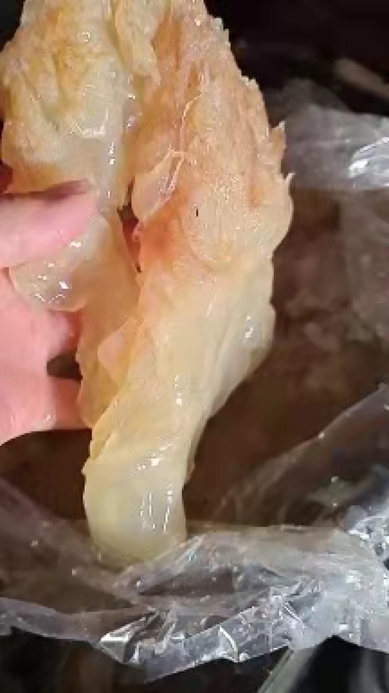 沙蜇头沙蜇皮质量超级好！对接电商微商支持一件代发不包邮