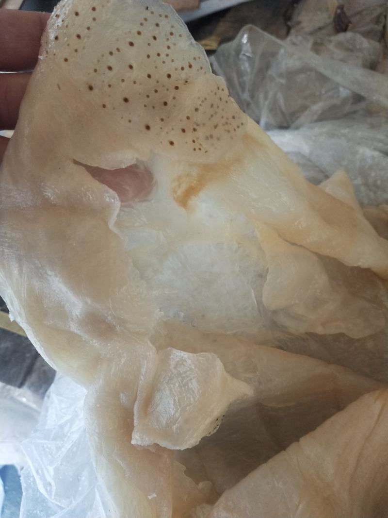 沙蜇头沙蜇皮质量超级好！对接电商微商支持一件代发不包邮
