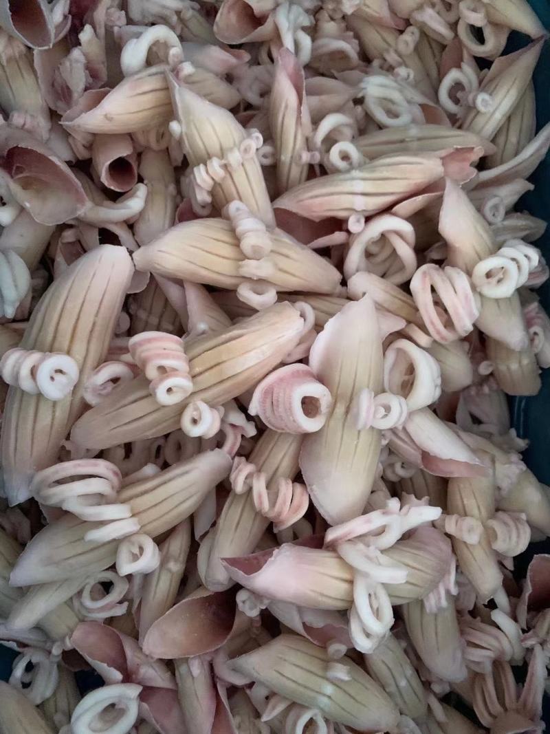 鱿鱼牛角花，可根据要求定做