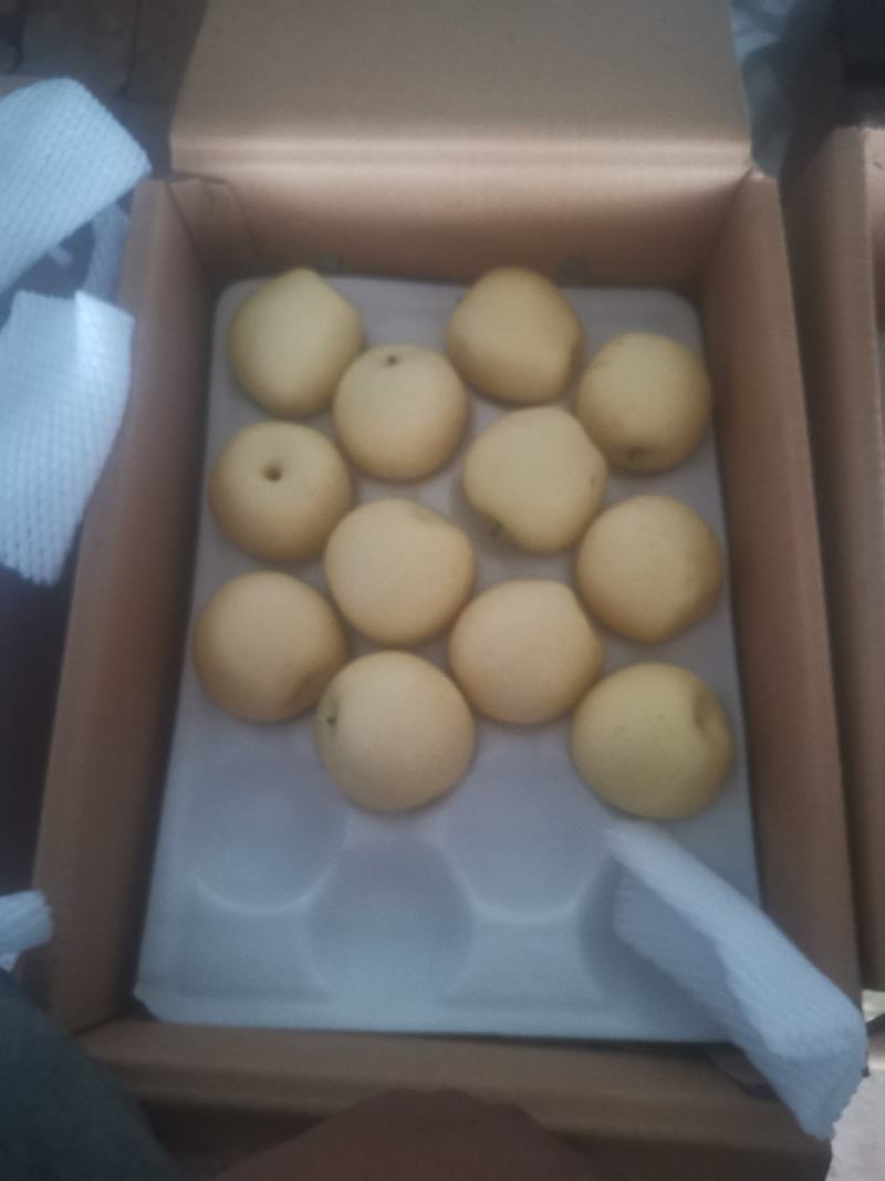 【河北皇冠梨】脆甜多汁货源充足品质保证可现场看货欢迎来电