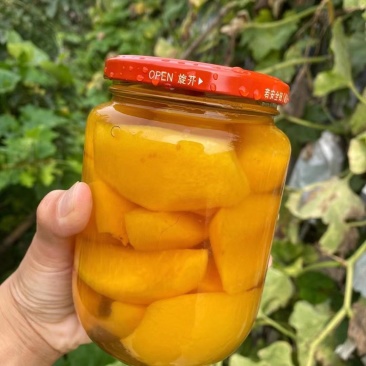 罐头