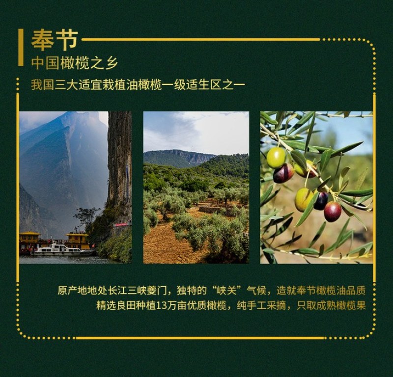 三峡之巅橄榄油100%特级初榨橄榄油500ml*2礼盒装