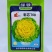 黄心乌菜种子绿领满地黄808/彩心708杂交品种，种子