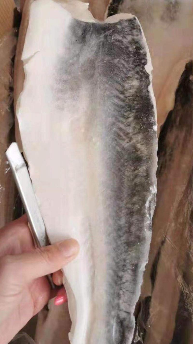 产地直发巴沙鱼柳，带皮巴沙鱼肉，一件20斤
