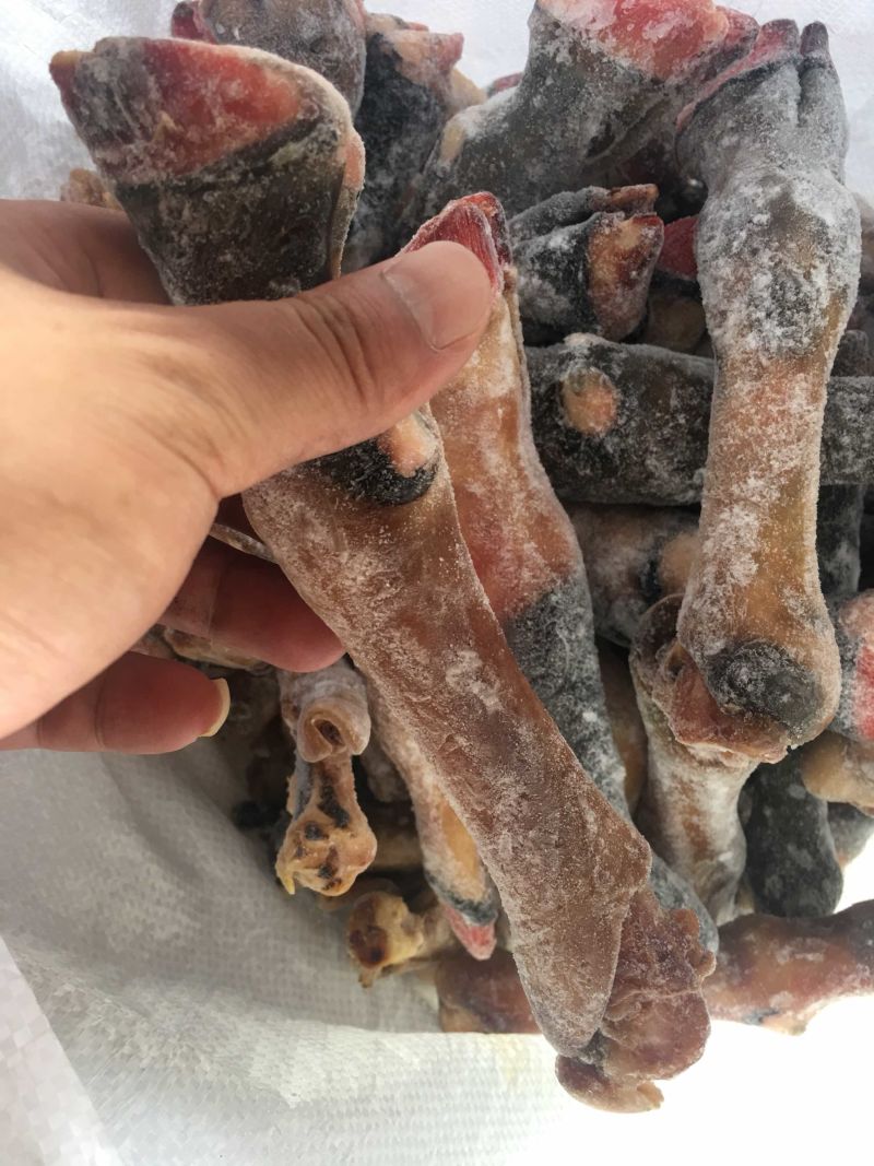 【羊蹄】火燎羊蹄，一斤3-4个，一手货源，产地直销！