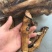 【羊蹄】火燎羊蹄，一斤3-4个，一手货源，产地直销！