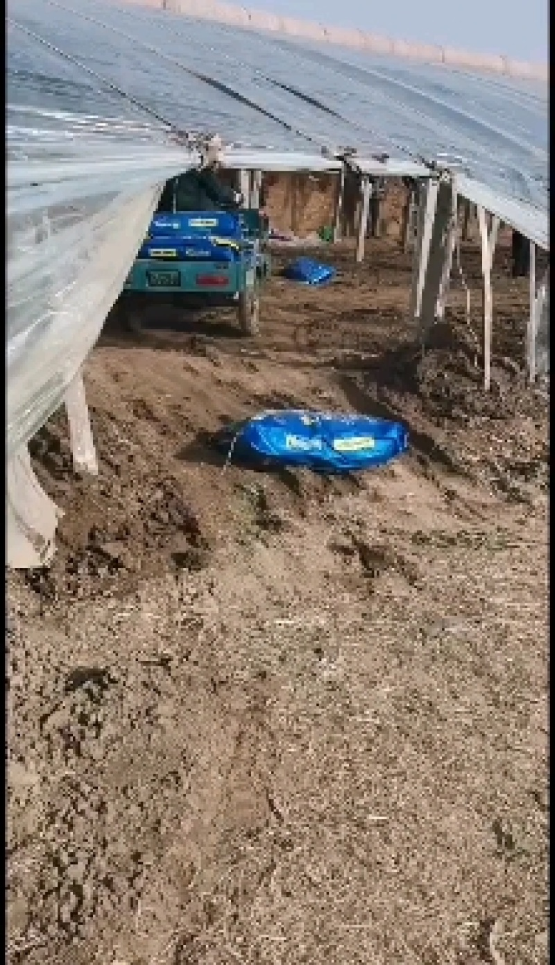 微生物菌剂，内含每克十亿菌，有机质90%、氮磷钾、9%。