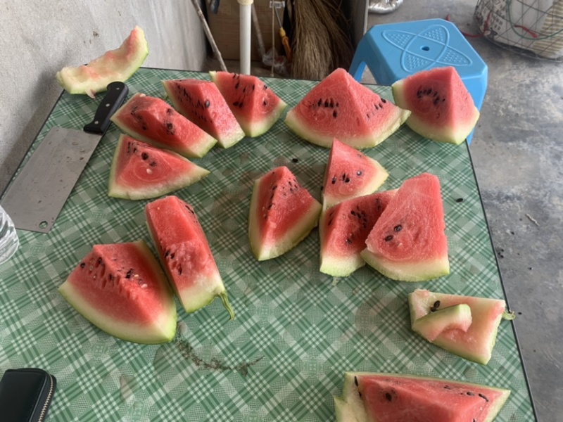 988精品西瓜大促销，机会难头！头茬露天瓜，口感佳。