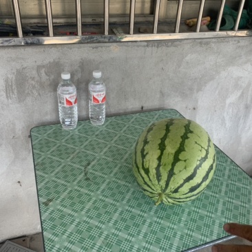 988精品西瓜大促销，机会难头！头茬露天瓜，口感佳。