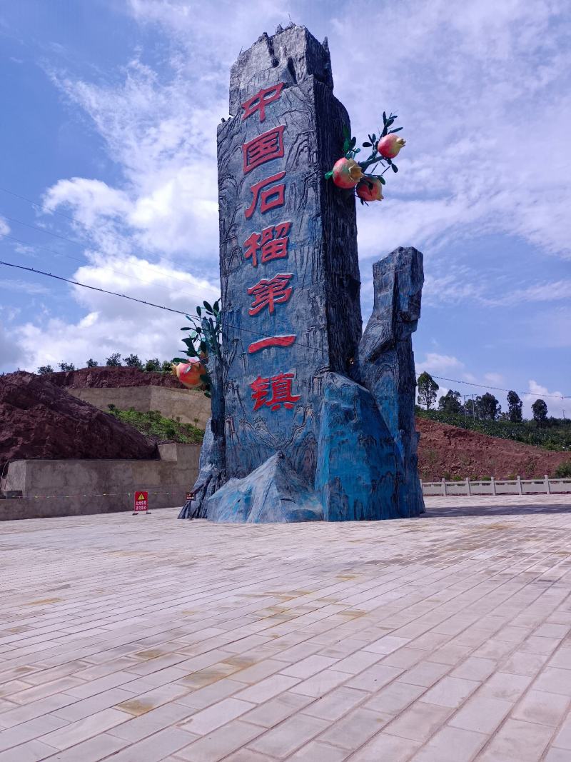 家乡的突尼斯软仔石榴熟了,要订购的赶紧了