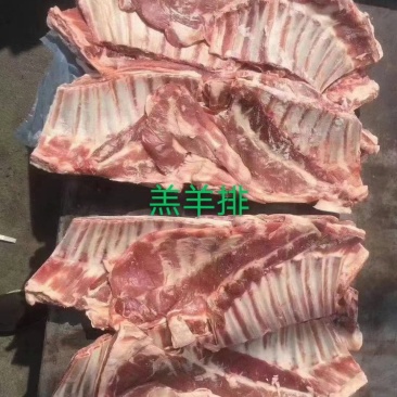 宁夏绵羊羊排，烧烤，清炖红烧，美味佳肴，膻味少肉质好
