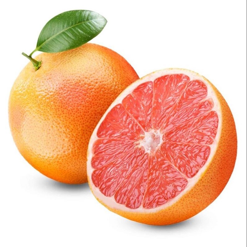 西柚南非