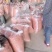 优质花生，纯手剥，无烂瓣，无黑子，颜色鲜亮，